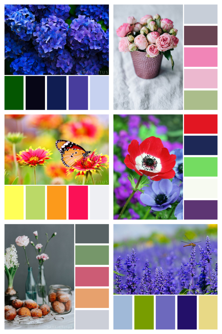 Color Palettes Archives Sarah Titus