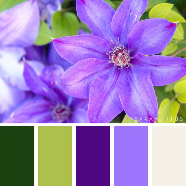 25 Summer Color Palettes - Sarah Titus