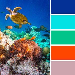 25 Ocean Inspired Color Palettes - Sarah Titus