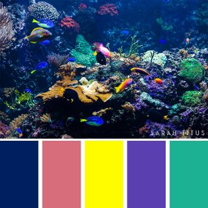 25 Ocean Inspired Color Palettes - Sarah Titus