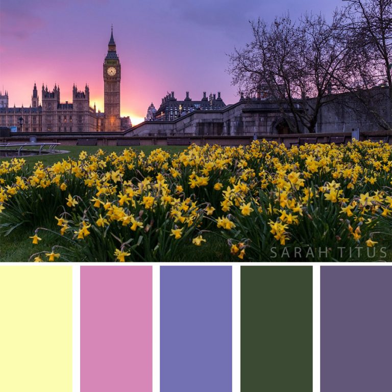 24-best-flower-inspired-color-palettes-sarah-titus