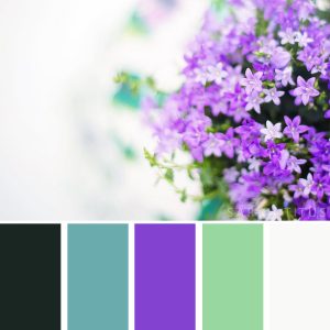 24 Best Flower-Inspired Color Palettes - Sarah Titus