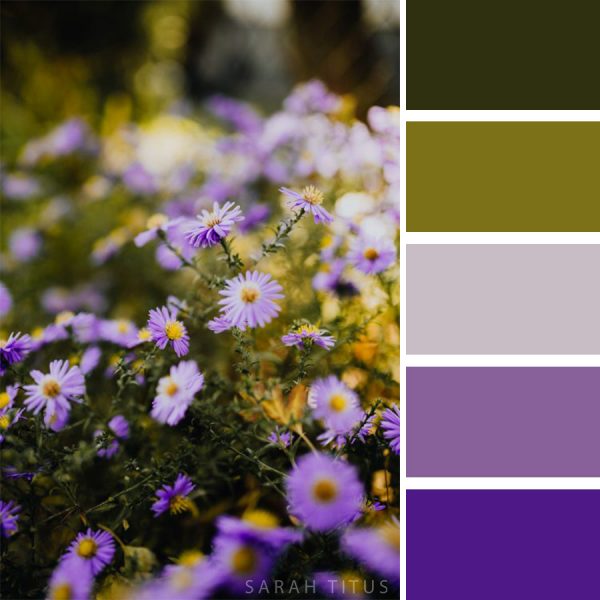 24 Best Flower-Inspired Color Palettes - Sarah Titus