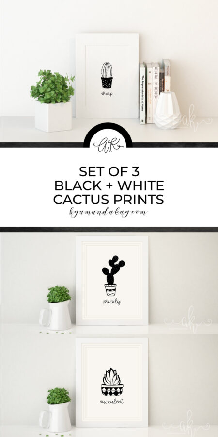 Black and White Cactus Prints