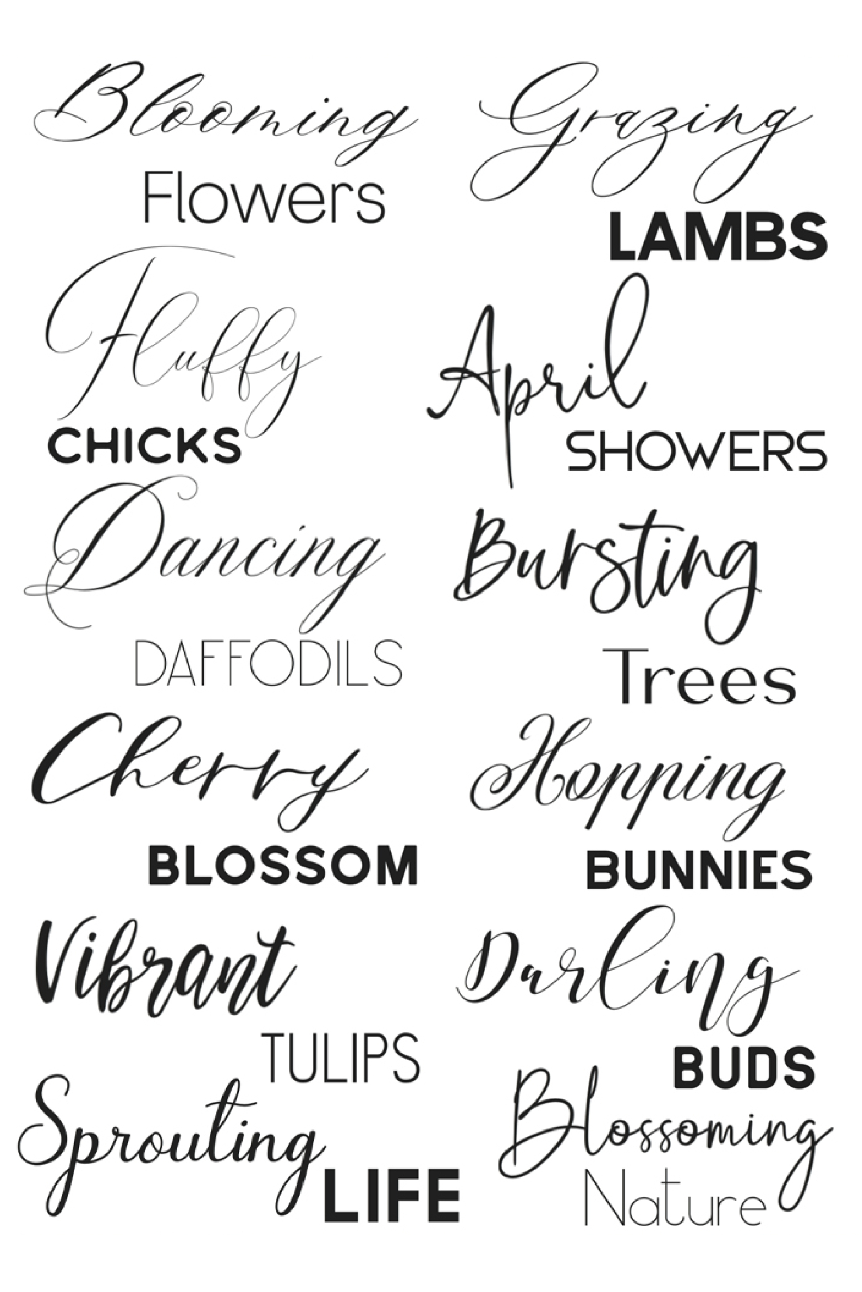 Breathtaking Calligraphy Fonts For Cricut | atelier-yuwa.ciao.jp