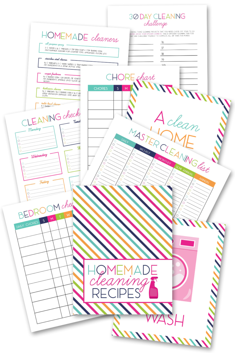 homemade-cleaning-recipes-binder-sarah-titus