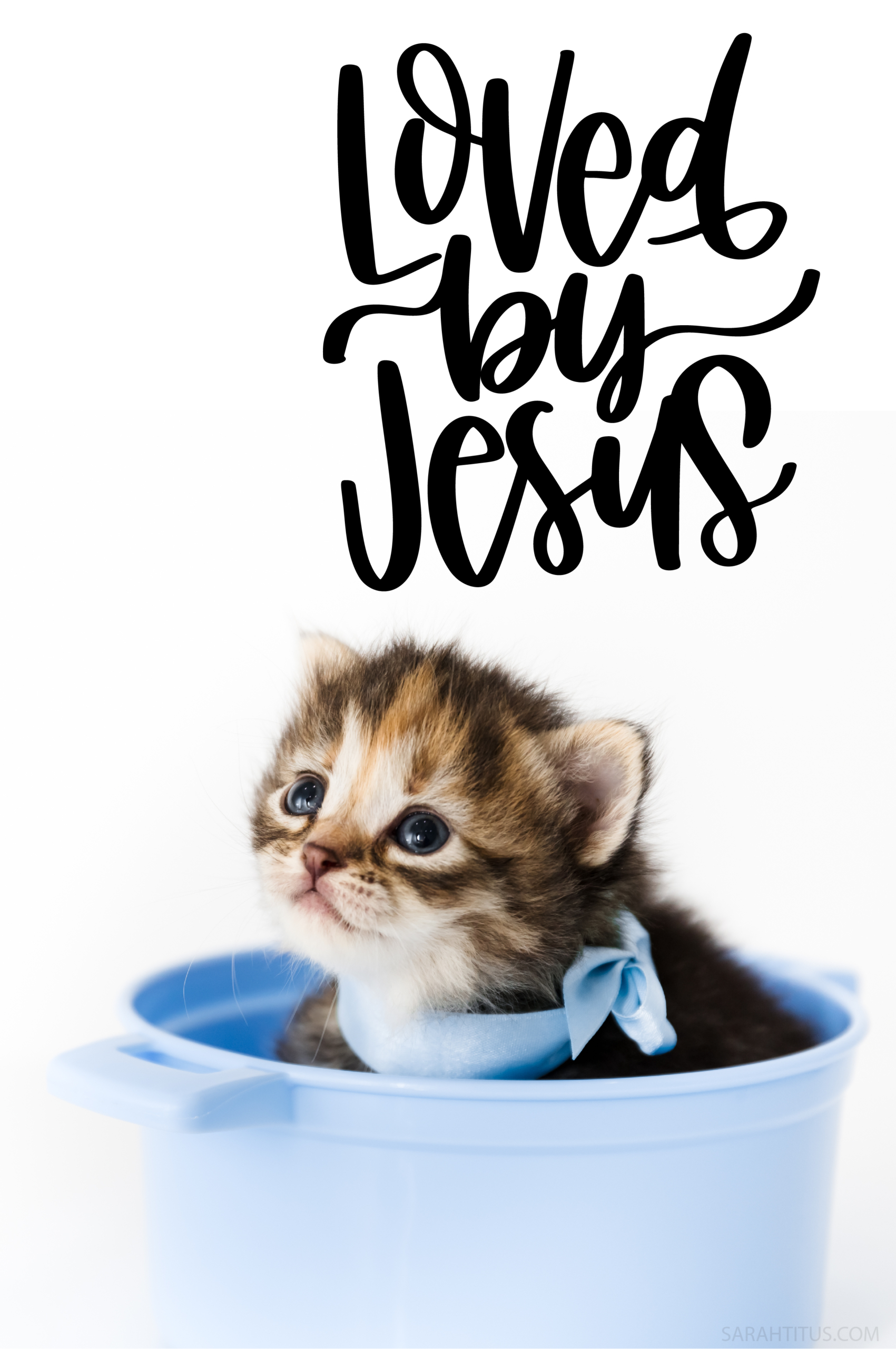 Premium Vector | Cute cat kitten greeting cartoon doodle wallpaper cover